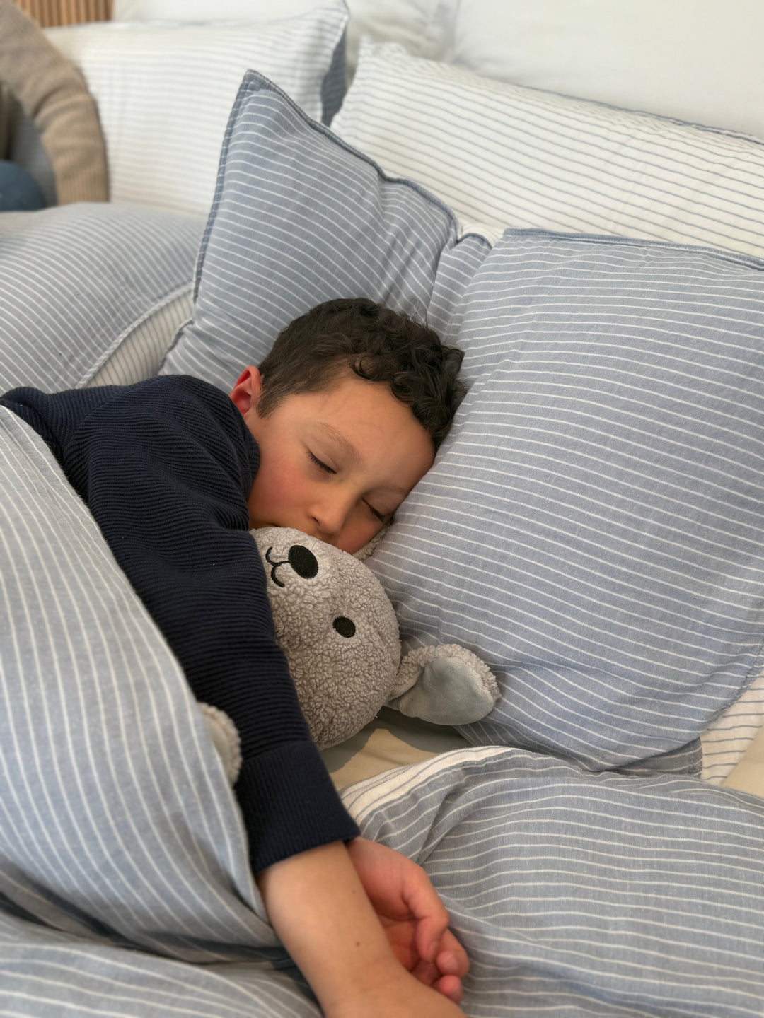 Child sleeping with Rune the Brave Dog comfort toy