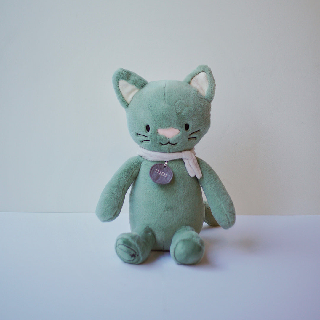 Indi the Dream Cat - Meet Indi