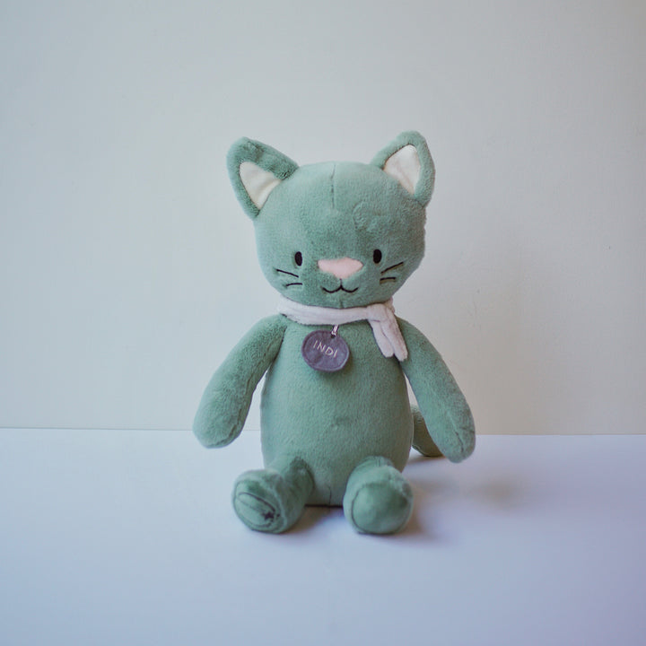 Indi the Dream Cat - Meet Indi