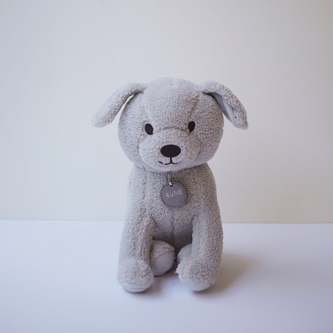 Rune the Brave Dog - Meet Rune