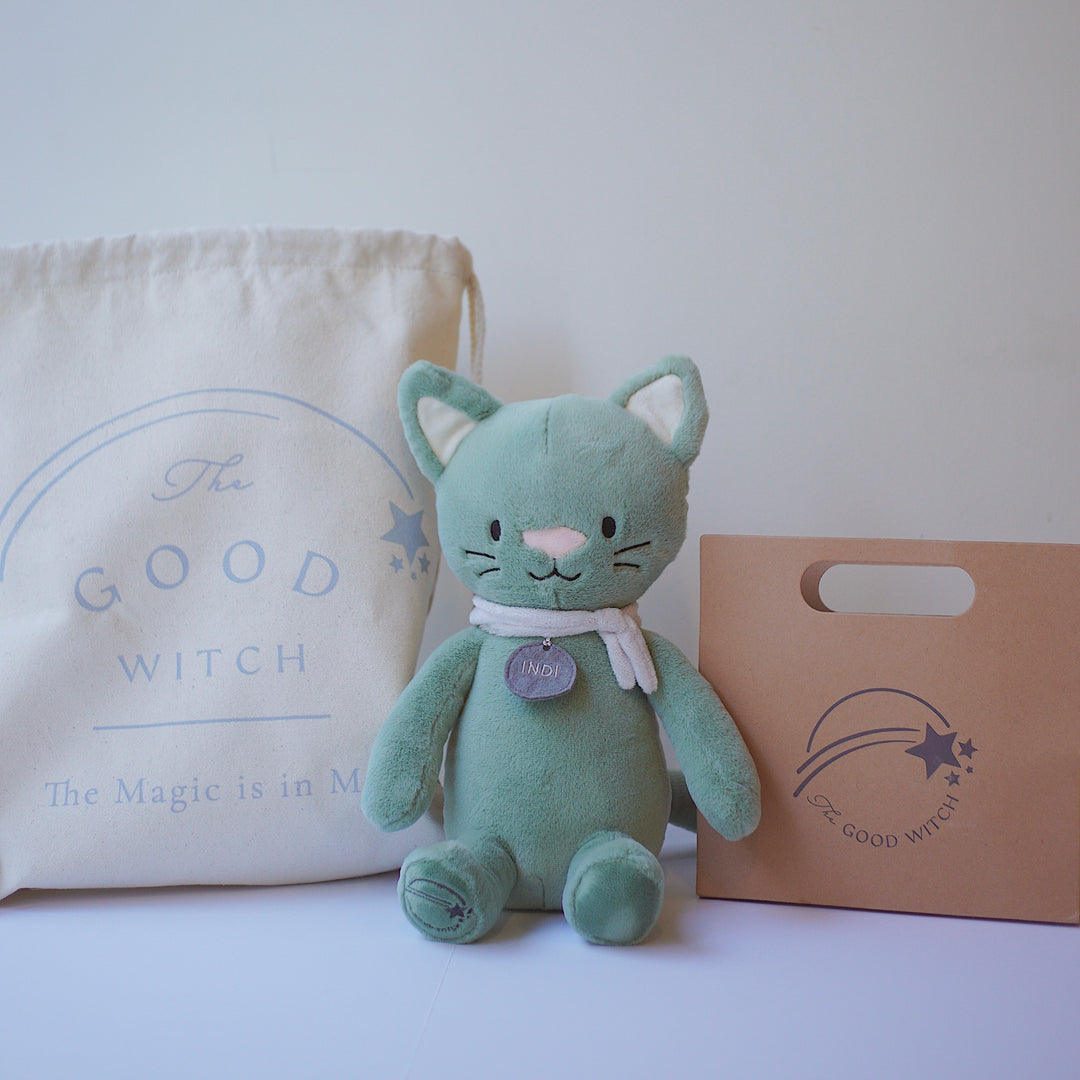 Indi the Dream cat with Bag and notepad - The Good Witch Global